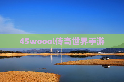 45woool传奇世界手游