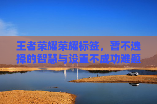王者荣耀荣耀标签，暂不选择的智慧与设置不成功难题