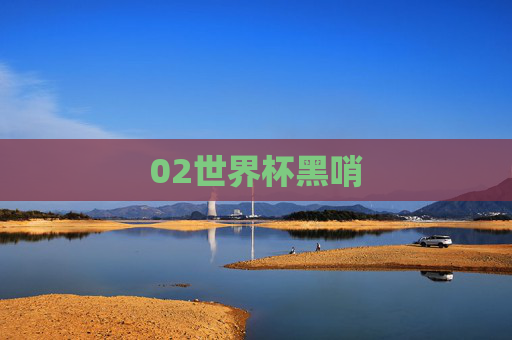 02世界杯黑哨