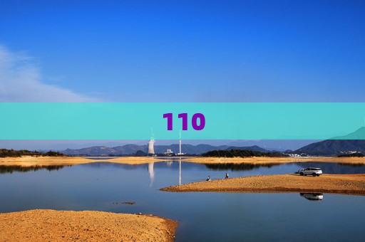 110