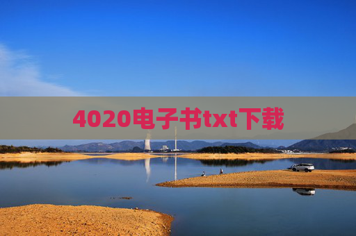 4020电子书txt下载