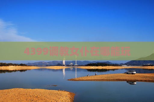 4399调教女仆在哪能玩