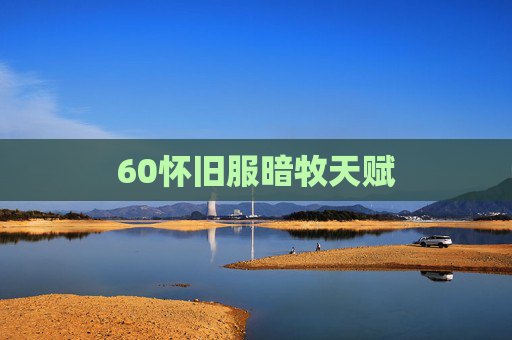 60怀旧服暗牧天赋