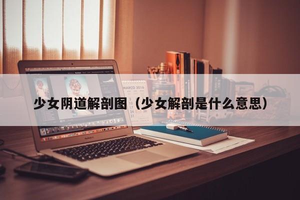 少女阴道解剖图（少女解剖是什么意思）