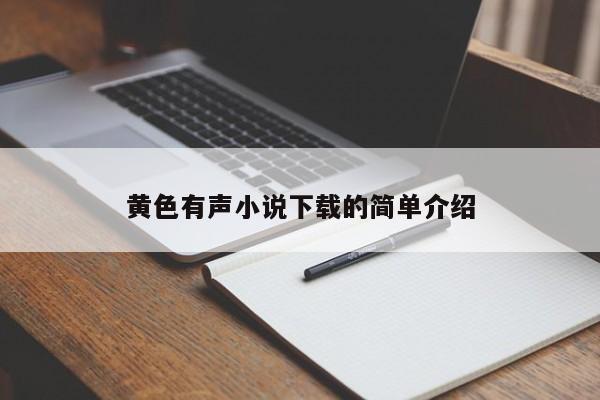 黄色有声小说下载的简单介绍