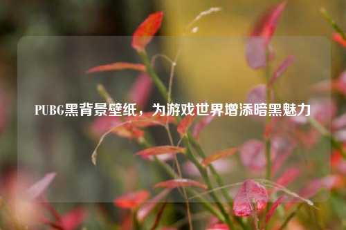 PUBG黑背景壁纸，为游戏世界增添暗黑魅力